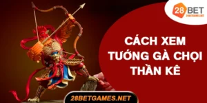 Cách xem tướng gà chọi thần kê